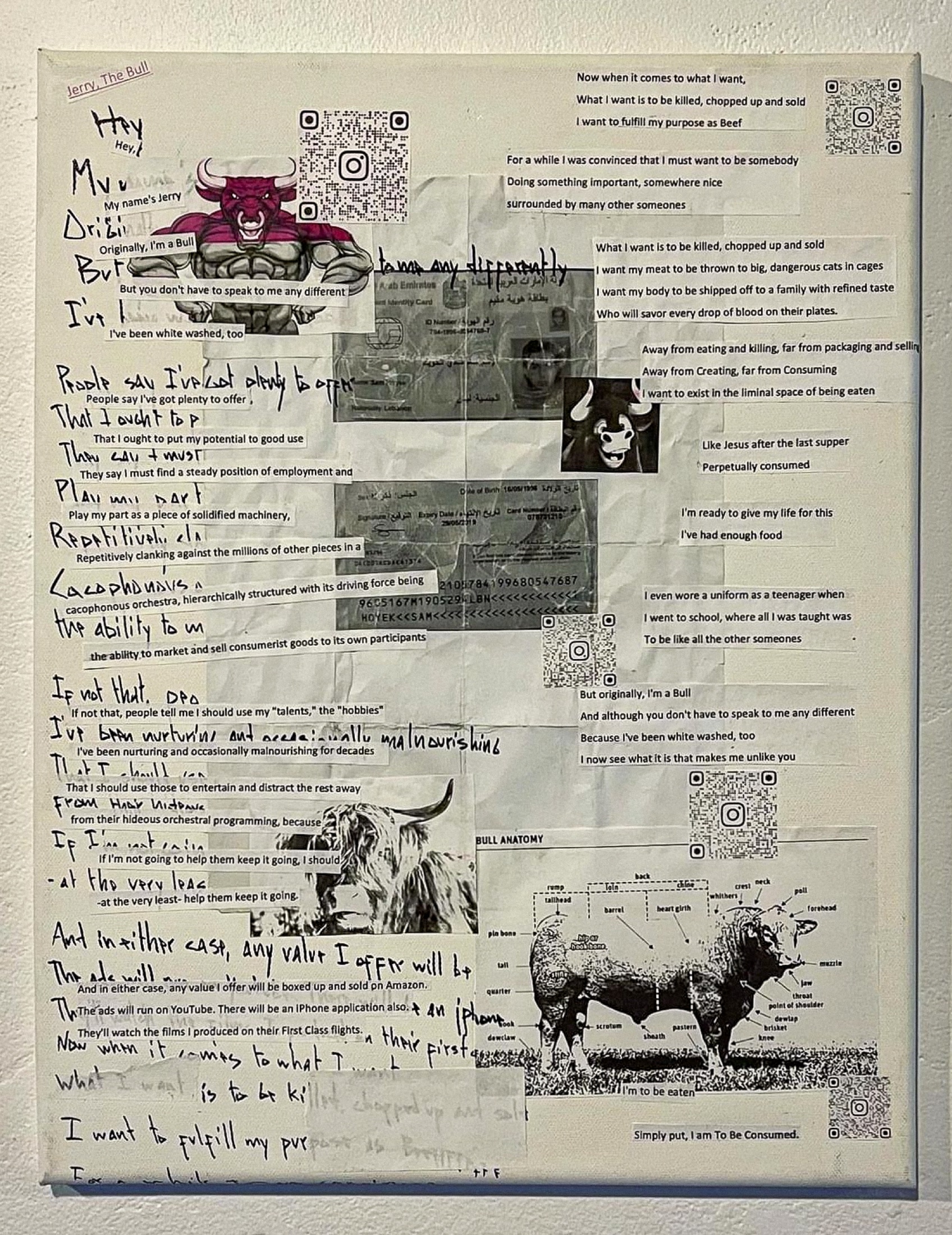 Text, diagrams, QR codes and bull imagery from beef, beef, not cow, not cow
