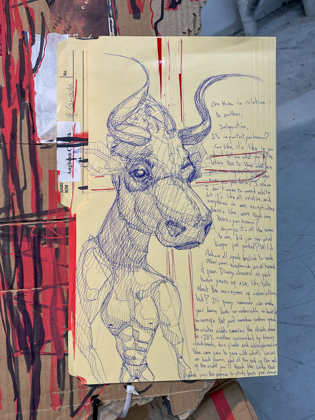 Bull drawing, writing, cardboard and cable-tie details from cuts/stitches
